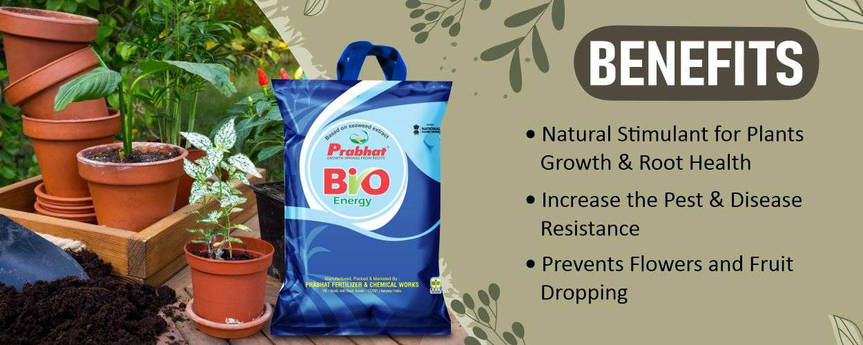 Bio Energy Website Banner (1250 x 500)