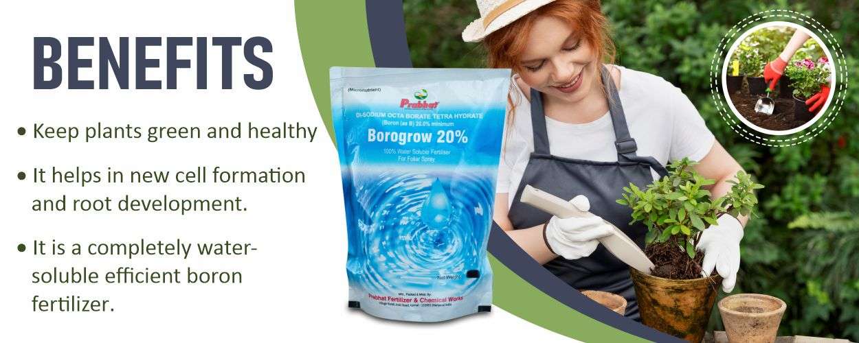 Borogrow 20% Website Banner (1250 x 500)