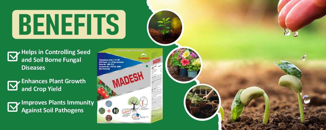 Madesh Website Banner (1250 x 500)