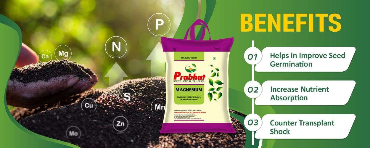 Magnesium Sulphate Website Banner (1250 x 500)