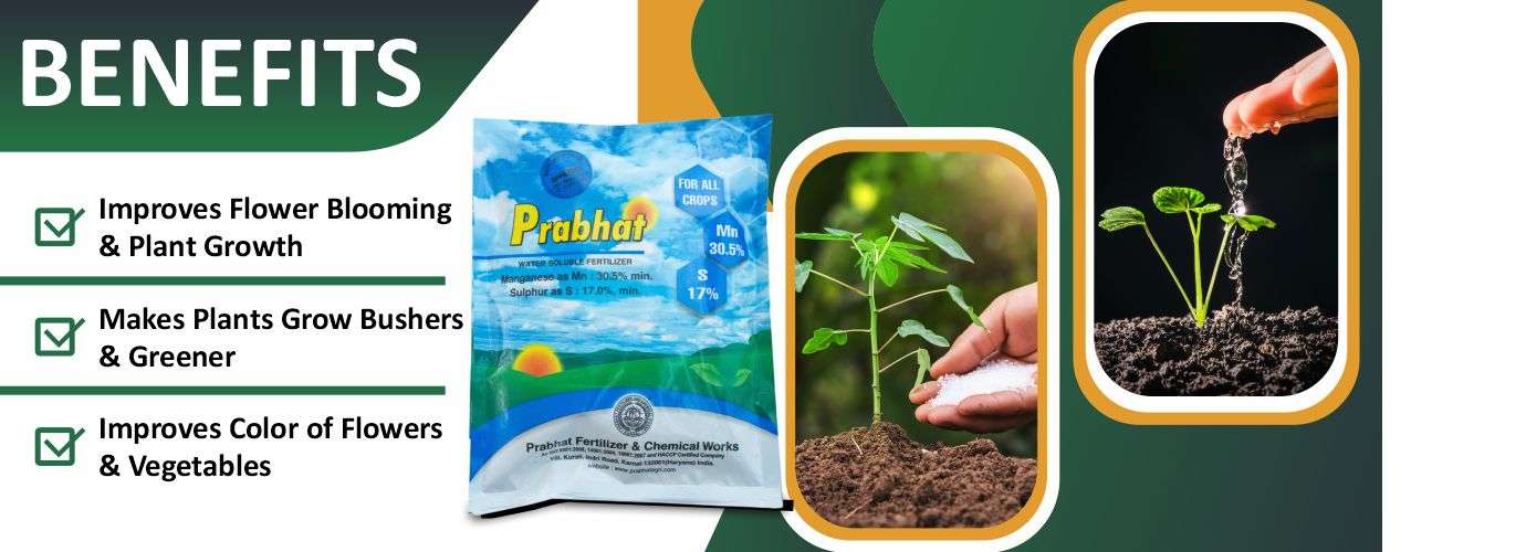 Manganese Sulphate Website Banner (1250 x 500)