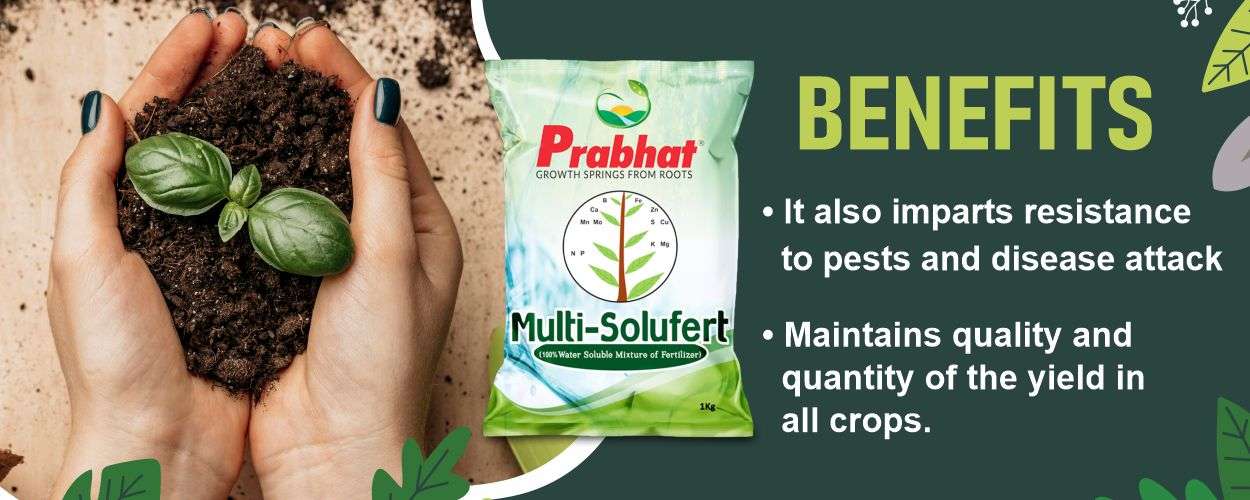 Multi-Solufert Website Banner (1250 x 500)