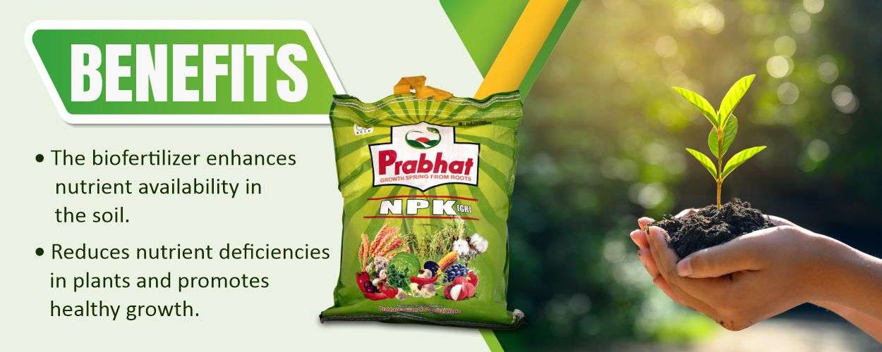 NPK Website Banner (1250 x 500)