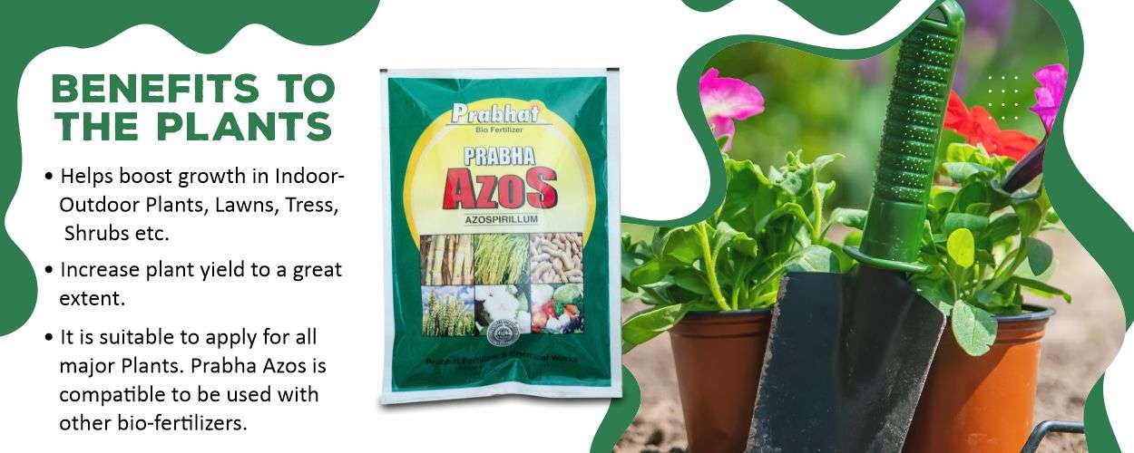 Prabha Azos Website Banner (1250 x 500)