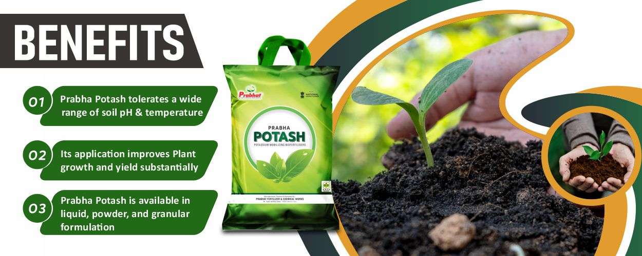 Prabha Potash Website Banner (1250 x 500)