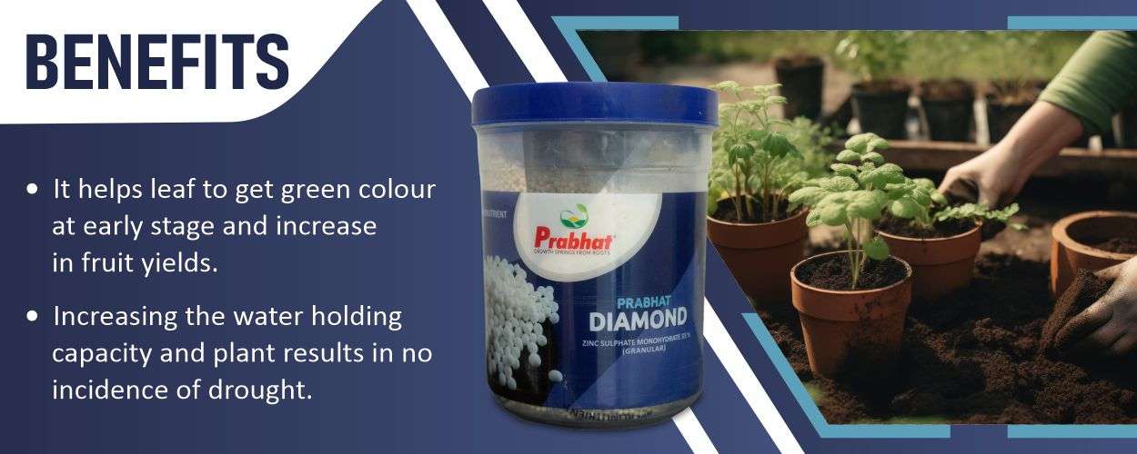 Zinc 33% GR fertigation Website Banner (1250 x 500)