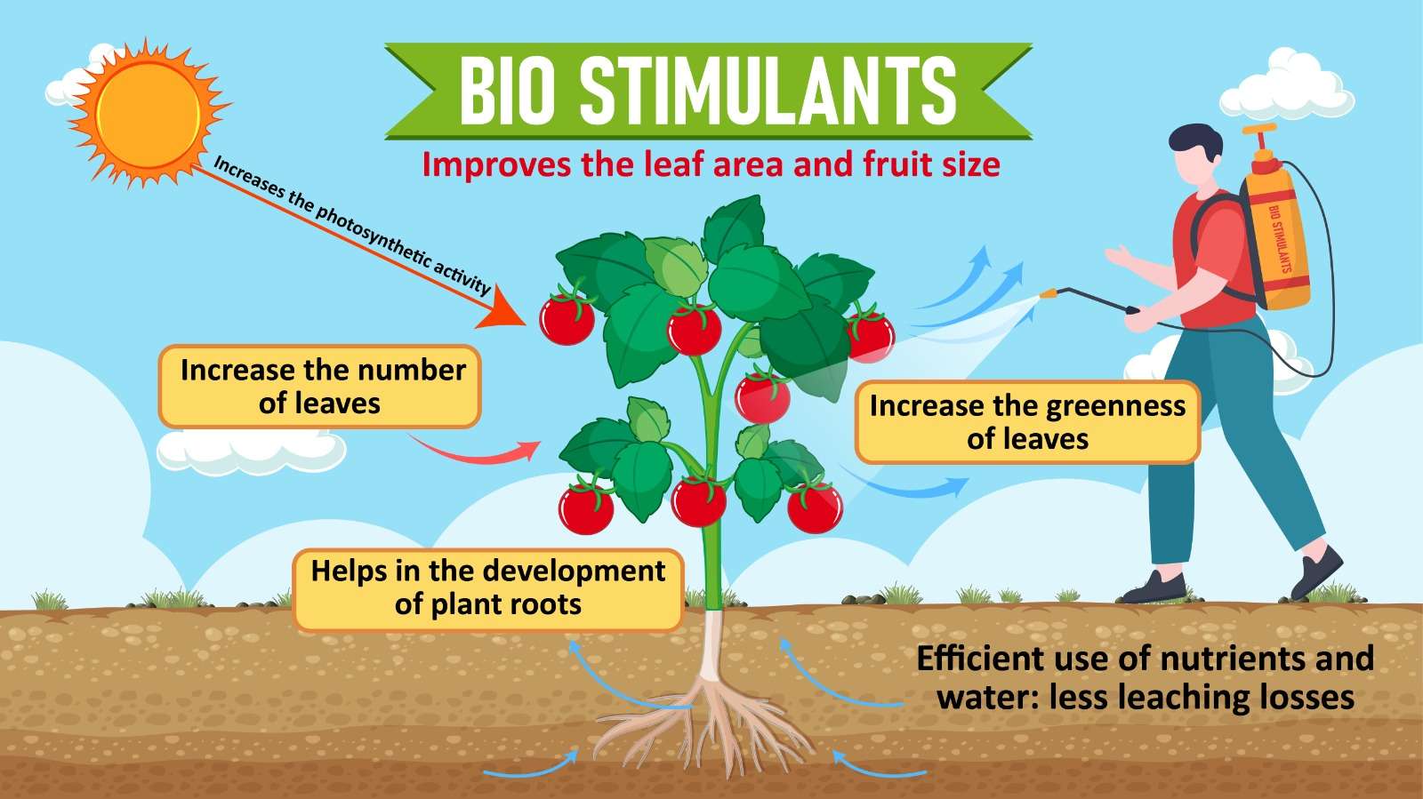 BIo