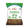 Prabhat Cambium -250GM